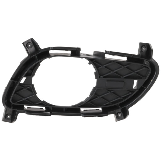 Fog Light Trim CarParts RI10810001