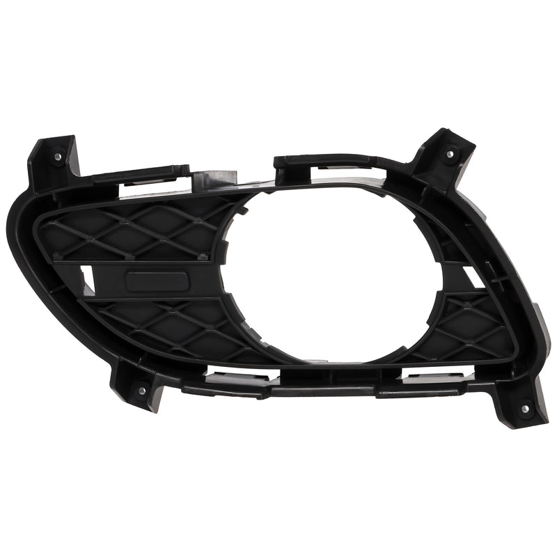Fog Light Trim CarParts RI10810002