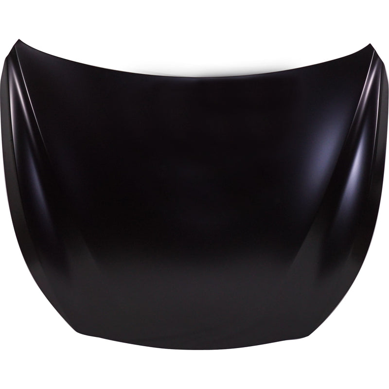 Hood CarParts RI13010001