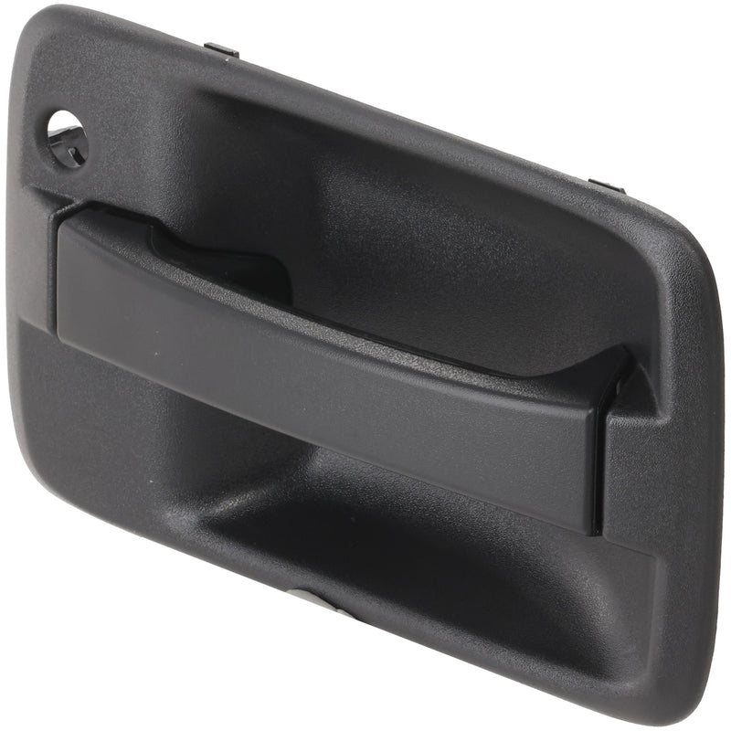 Exterior Door Handle CarParts RI46250013A-HD