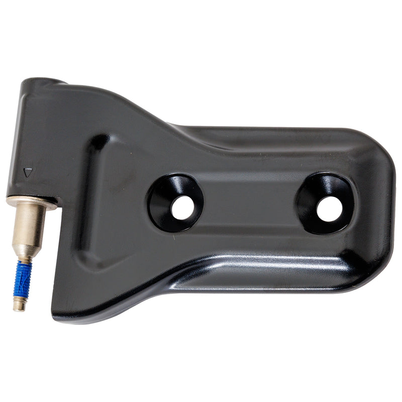 Door Hinge CarParts RJ46390008