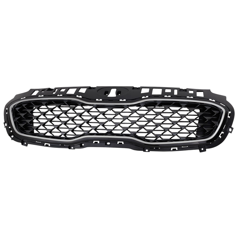 Grille CarParts RK07010030