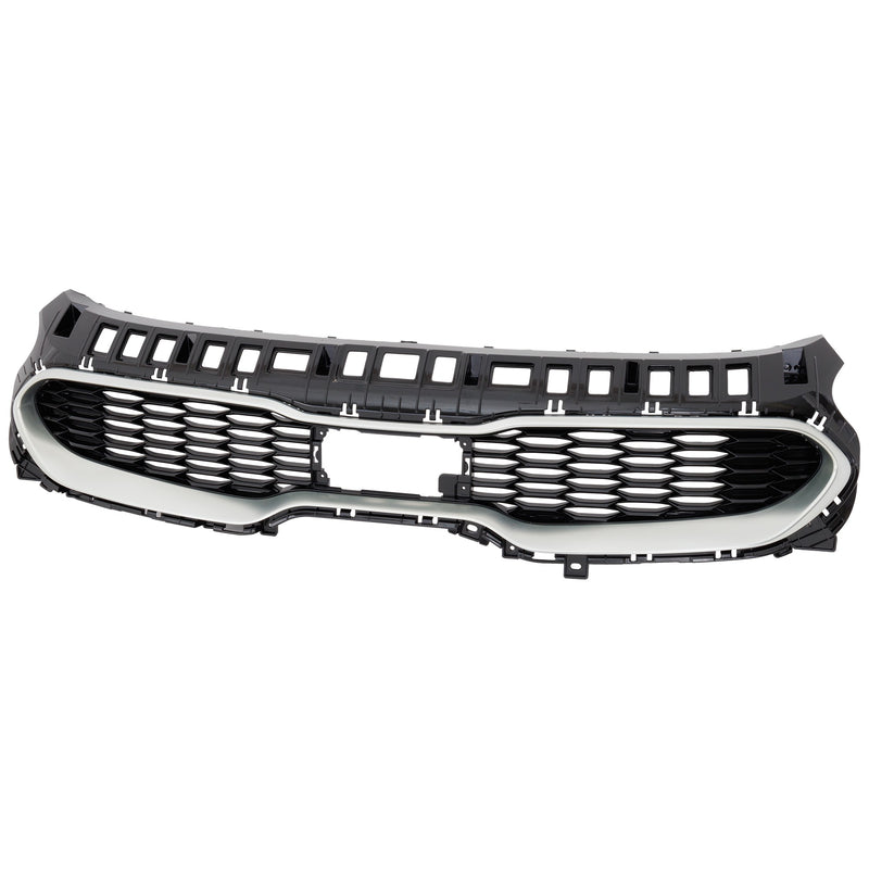 Grille CarParts RK07010034