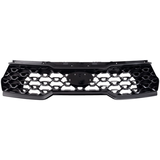 Grille CarParts RK07010037Q