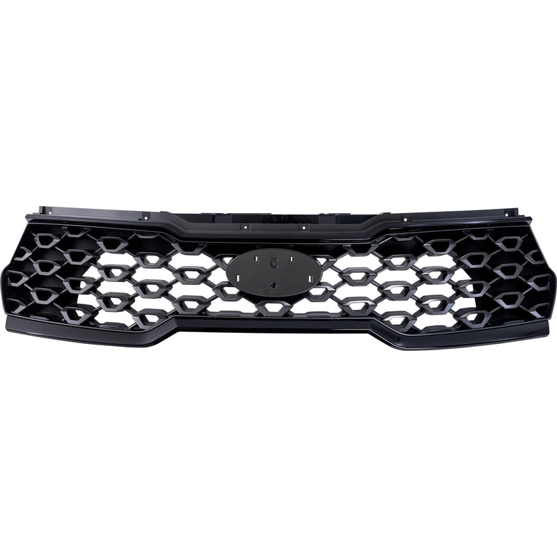 Grille CarParts RK07010038Q