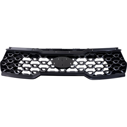 Grille CarParts RK07010038Q