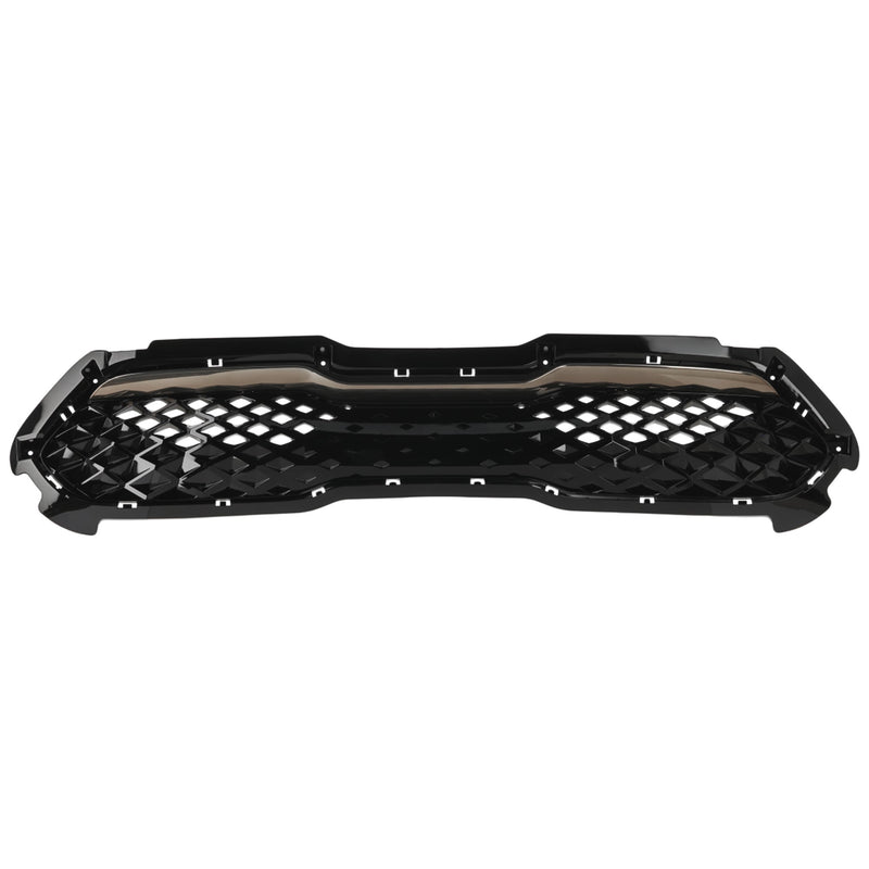Grille CarParts RK07010042