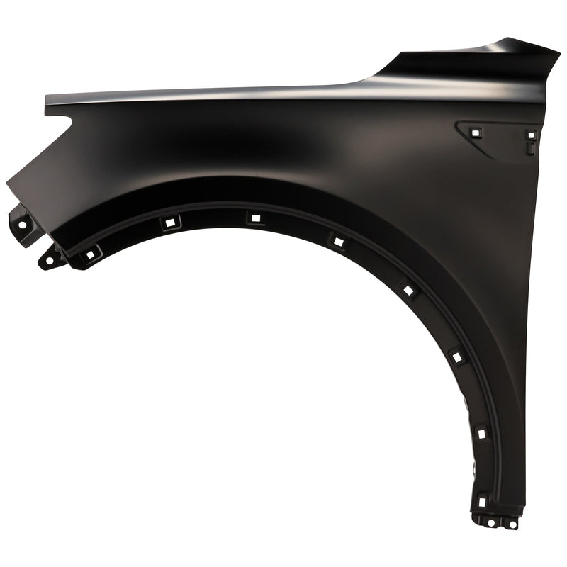 Fender CarParts RK22010018