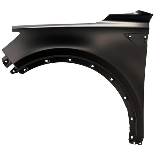 Fender CarParts RK22010018