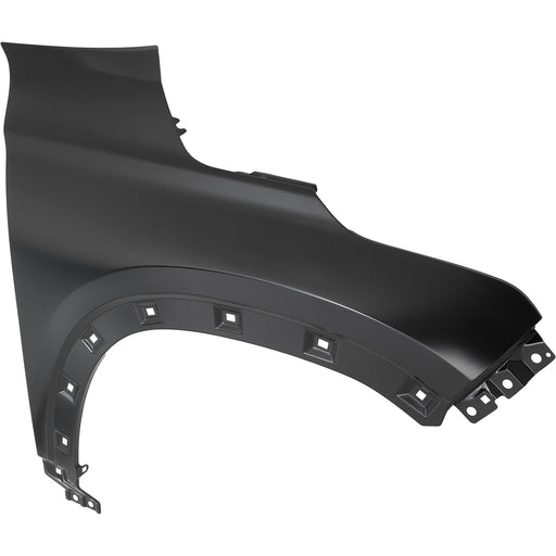 Fender CarParts RK22010019
