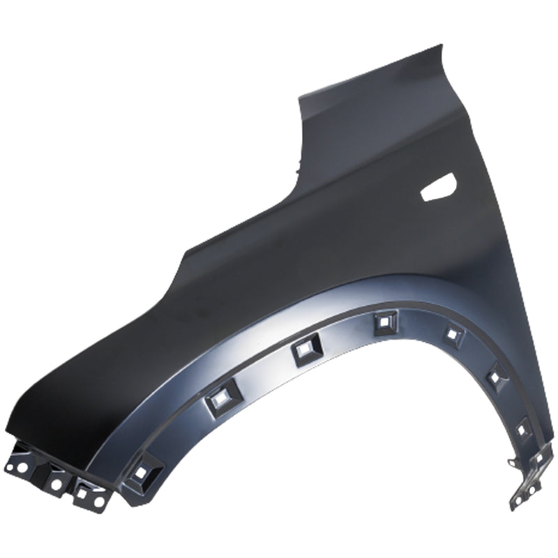 Fender CarParts RK22010020