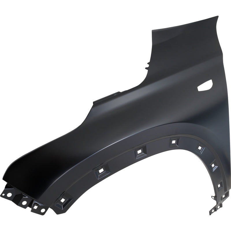 Fender CarParts RK22010022
