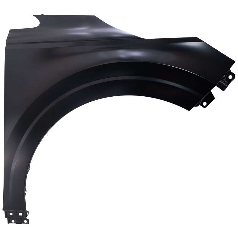Fender CarParts RK22010031