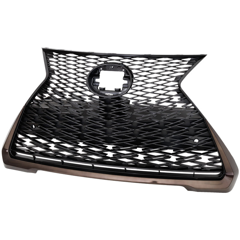 Grille CarParts RL07010039