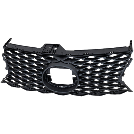 Grille CarParts RL07010048