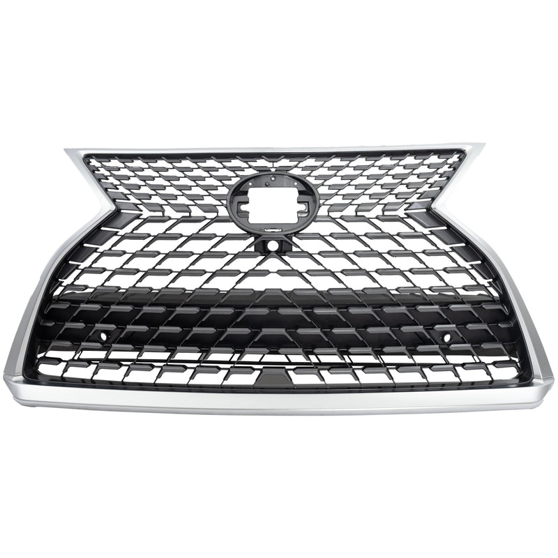 Grille CarParts RL07010051
