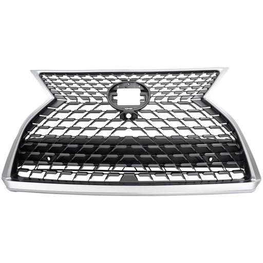 Grille CarParts RL07010051