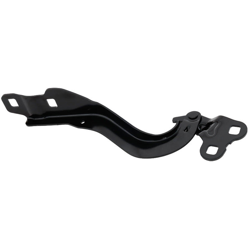 Hood Hinge CarParts RL13030015