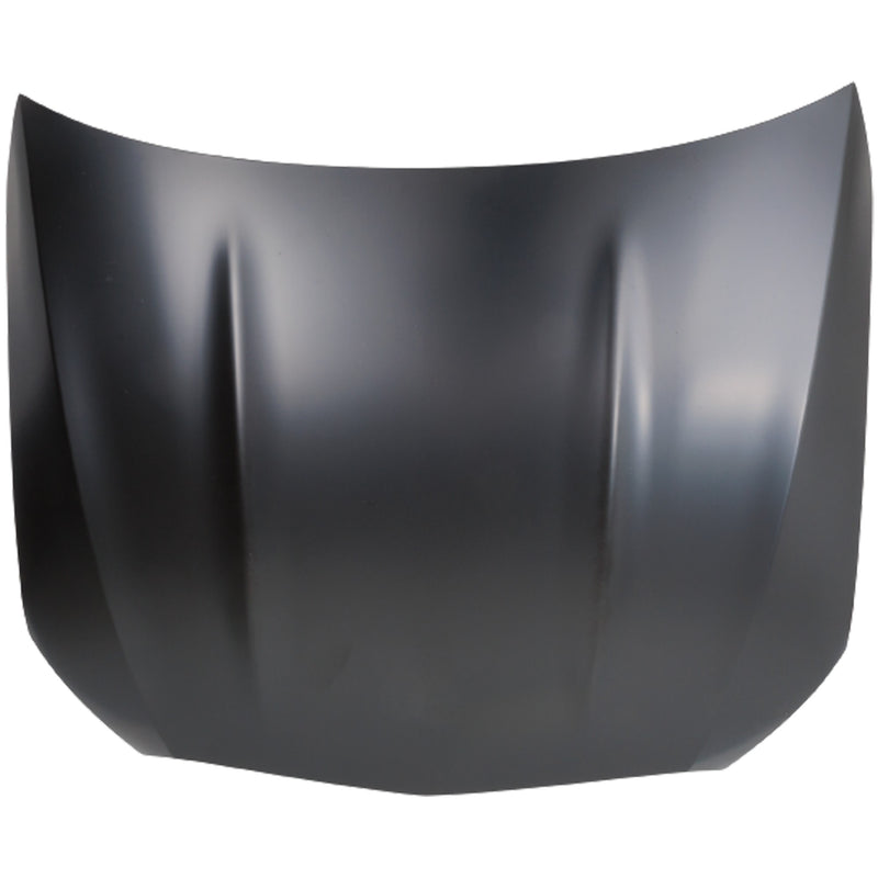 Hood CarParts RM13010027