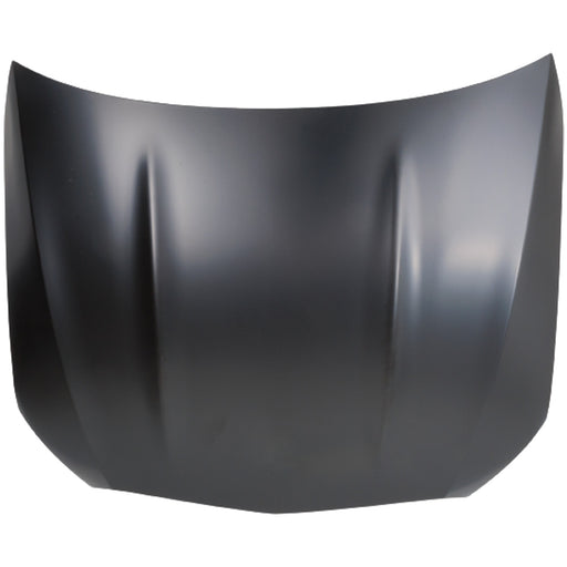 Hood CarParts RM13010027
