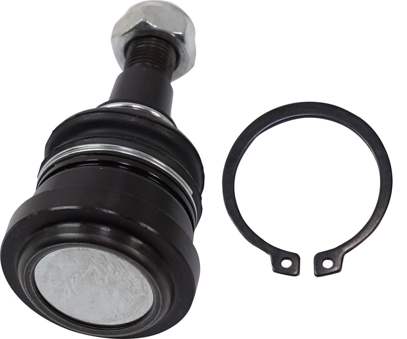 Front, Driver or Passenger Side, Lower Ball Joint