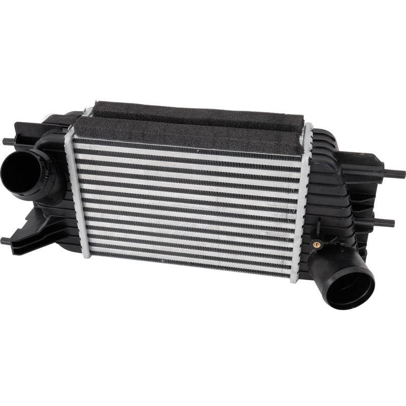 Intercooler CarParts RN54390001