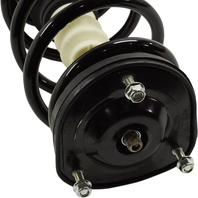 Rear, Passenger Side Fully Loaded Strut, 4 Cyl., 2.5L Engine