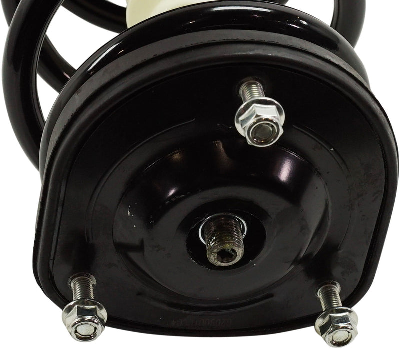Rear, Driver Side Fully Loaded Strut, 4 Cyl., 2.5L Engine