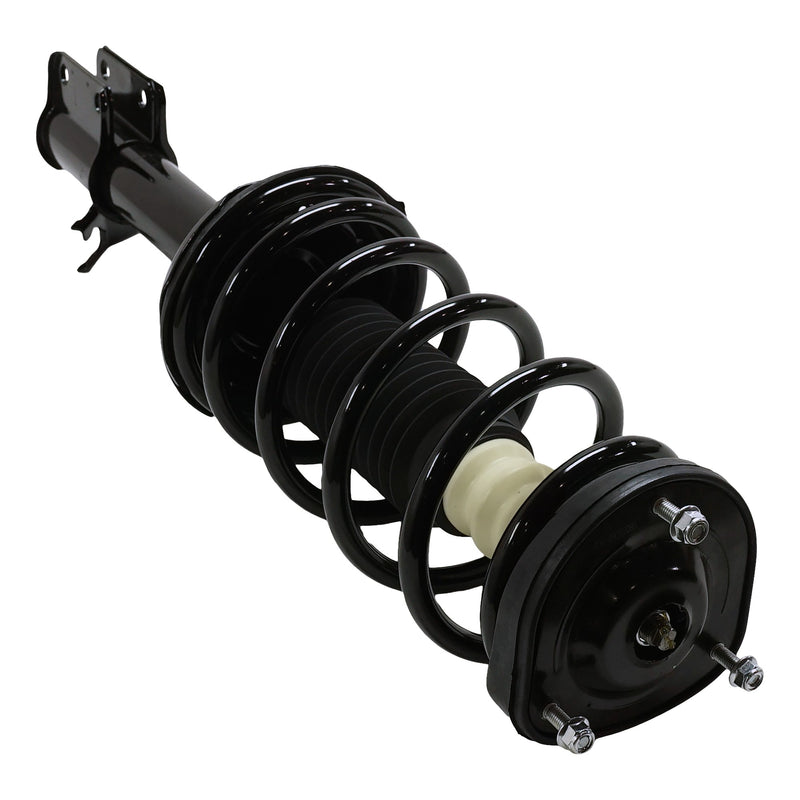 Rear, Driver Side Fully Loaded Strut, 4 Cyl., 2.5L Engine