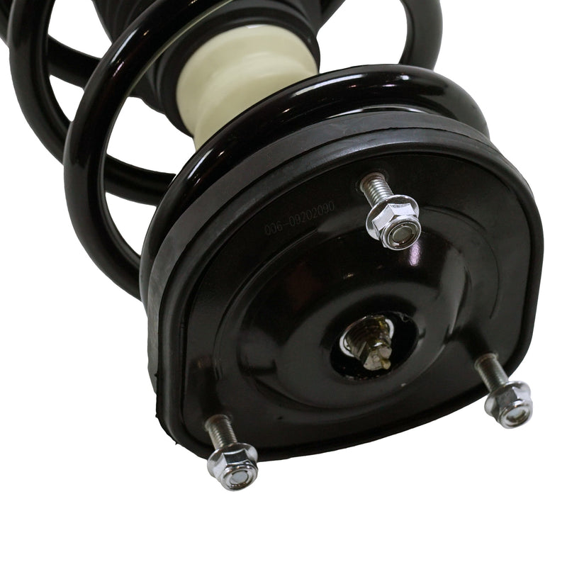 Rear, Driver Side Fully Loaded Strut, 4 Cyl., 2.5L Engine