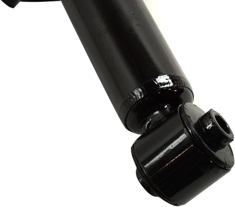 Rear, Driver or Passenger Side Fully Loaded Strut, 4 Cyl., 2.5L Engine