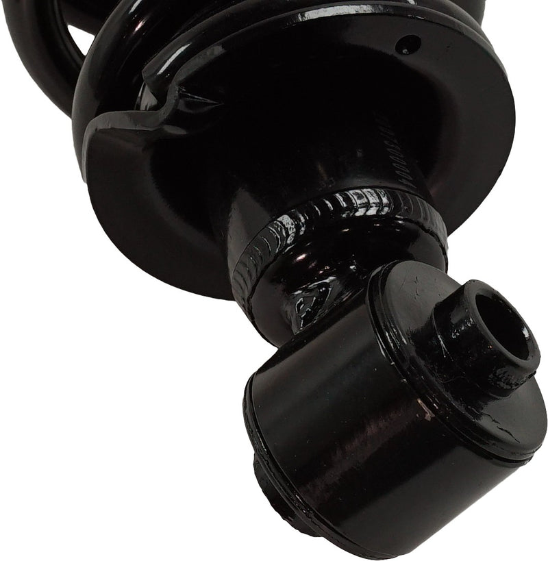 Rear, Passenger Side Fully Loaded Strut, 4 Cyl., 2.4L Engine