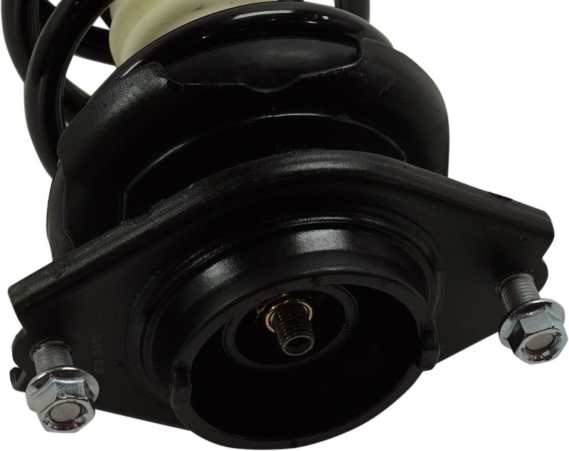Rear, Driver or Passenger Side Fully Loaded Strut, 2.5L Engine