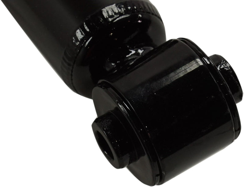 Rear, Driver or Passenger Side Fully Loaded Strut, 2.5L Engine