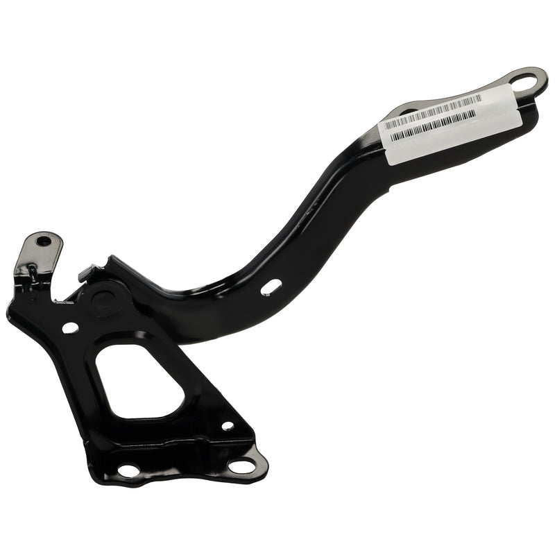 Hood Hinge CarParts RT13030003