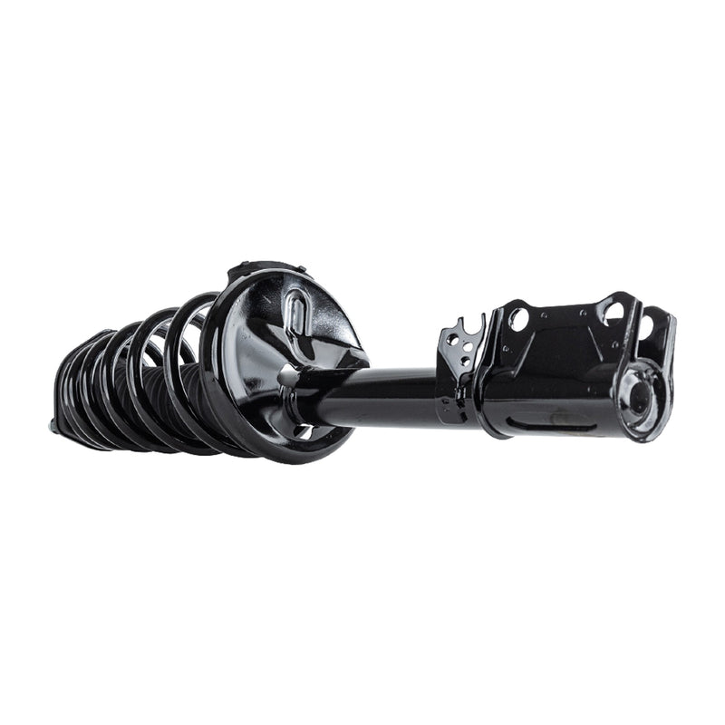 Strut Assembly Front & Rear Driver Side