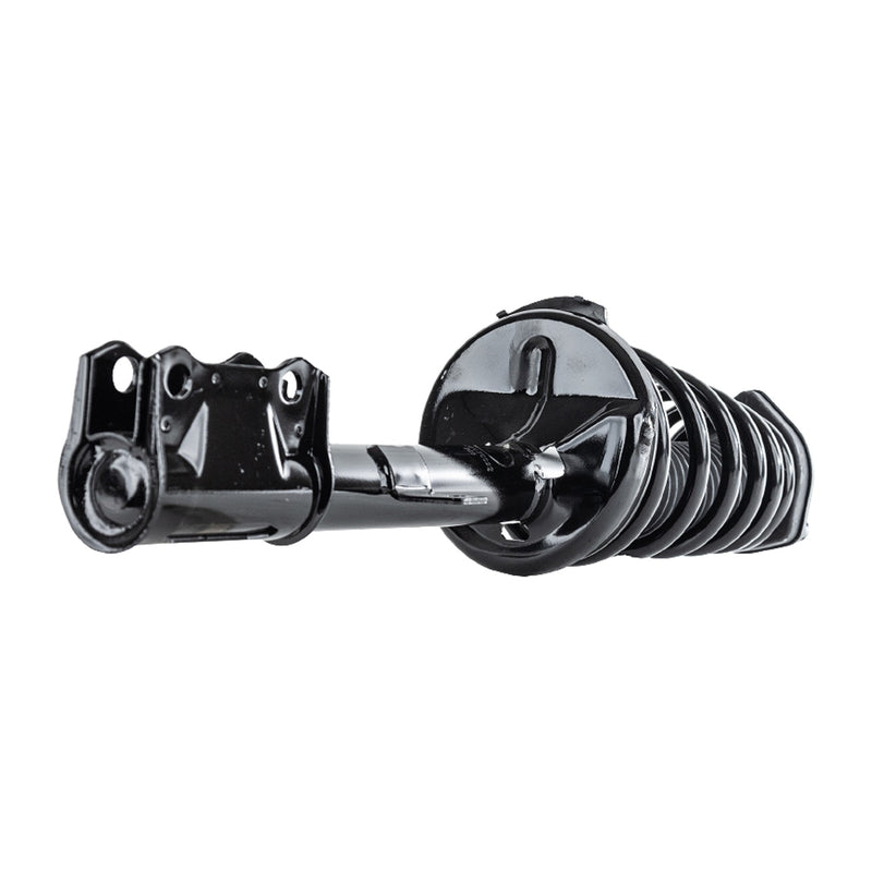 Strut Assembly Front & Rear Driver Side