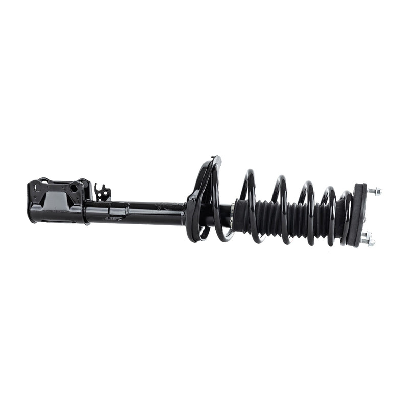 Strut Assembly Front & Rear Driver Side