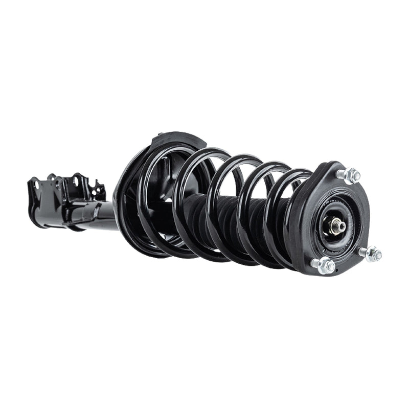 Strut Assembly Front & Rear Driver Side