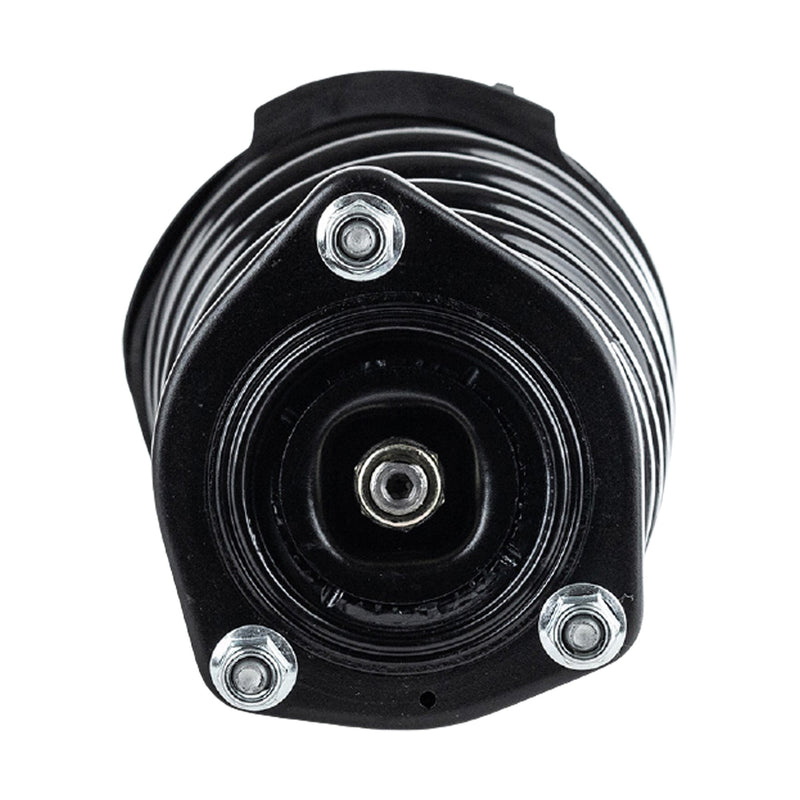 Strut Assembly Front & Rear Driver Side