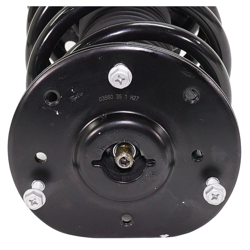 Loaded Strut - Front, Driver and Passenger Side,
