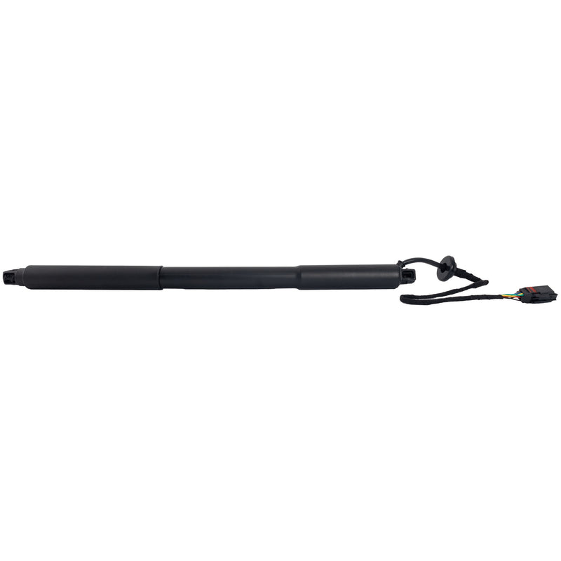 Hood Lift Support CarParts RV63040008