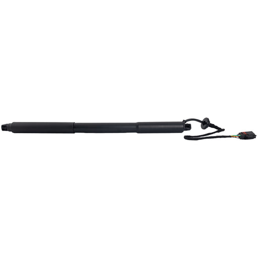 Hood Lift Support CarParts RV63040008