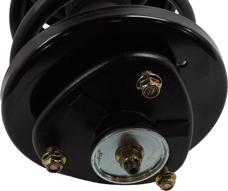 Loaded Strut-Front