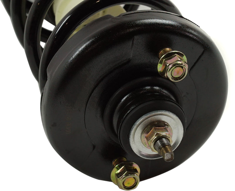 Loaded Strut - Rear Side