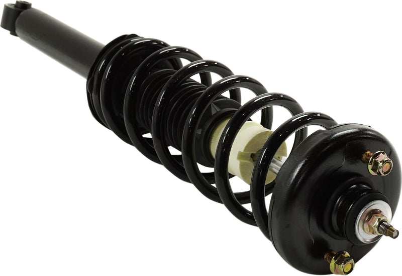 Loaded Strut - Rear Side