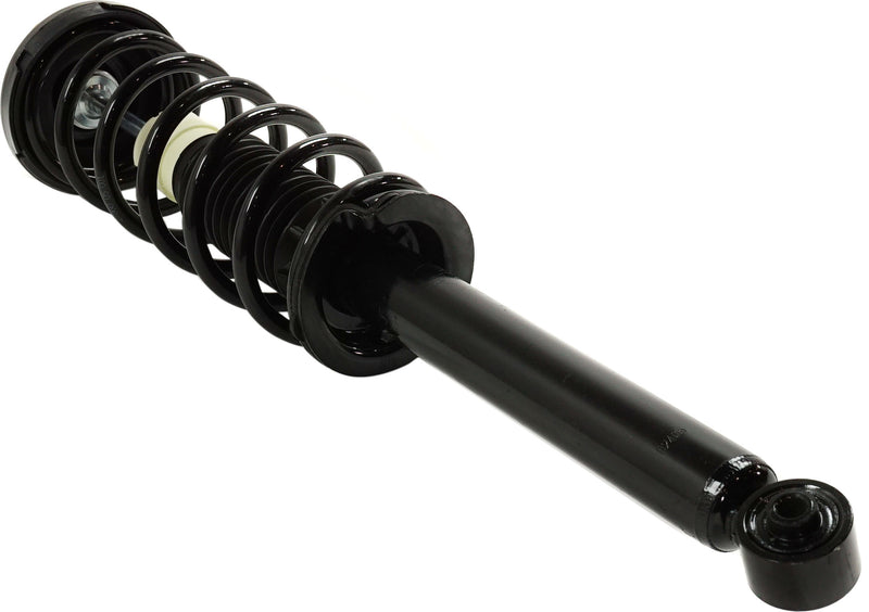 Loaded Strut - Rear Side
