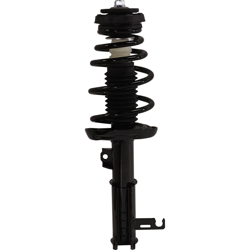 Loaded Strut - Front