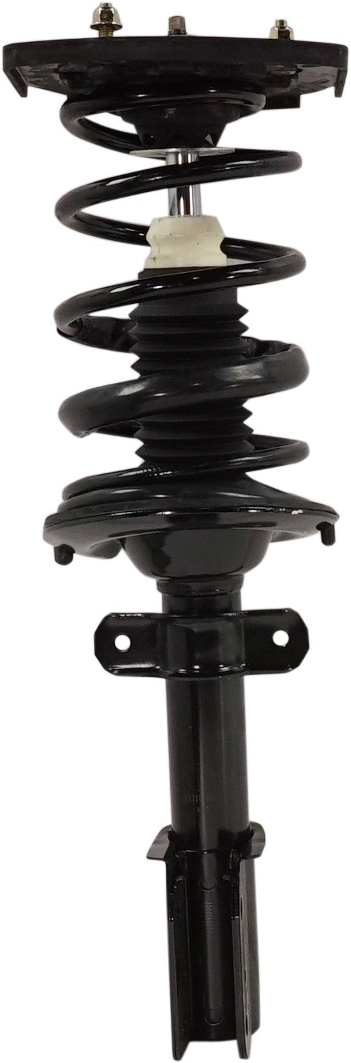 Loaded Strut - Rear Side