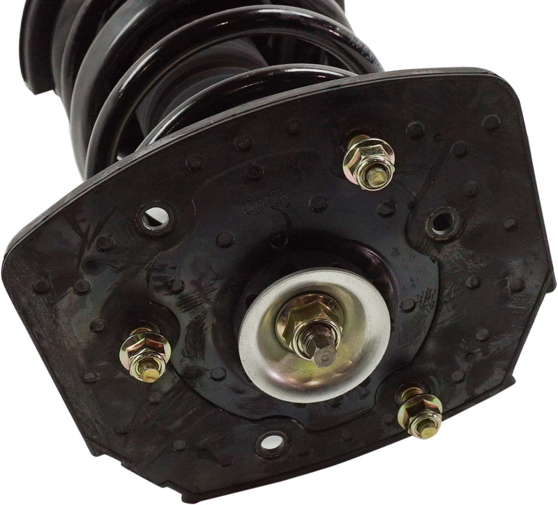 Loaded Strut - Rear Side